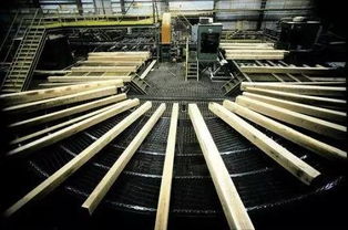 木工鋸發展史和板式開料設備未來的發展方向