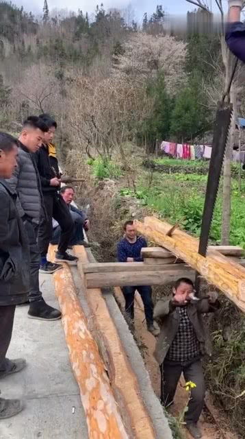 只存在記憶里的斷木方式,木樁放深溝上下站兩人,拿出木工鋸來回推拉太省事